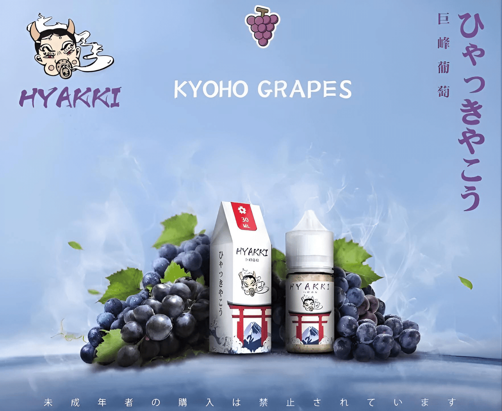 HYAKKI 哈亞齊日系進口 30ml/35mg 小煙專用煙油|711貨到付款 HYAKKI 哈亞齊日系進口 30ml/35mg 小煙專用煙油|711貨到付款:圖片 10