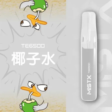 MIST X TE 鴨嘴獸 6500口 一次性電子煙｜長效續航｜拋棄式設計・免充電
