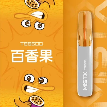 MIST X TE 鴨嘴獸 6500口 一次性電子煙｜長效續航｜拋棄式設計・免充電