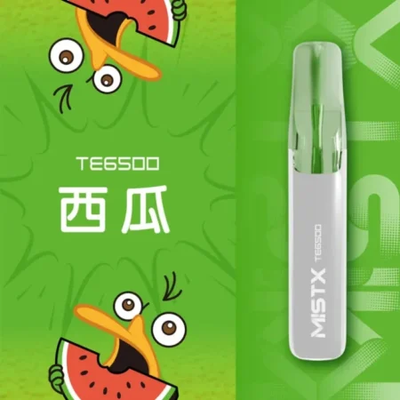 MIST X TE 鴨嘴獸 6500口 一次性電子煙｜長效續航｜拋棄式設計・免充電